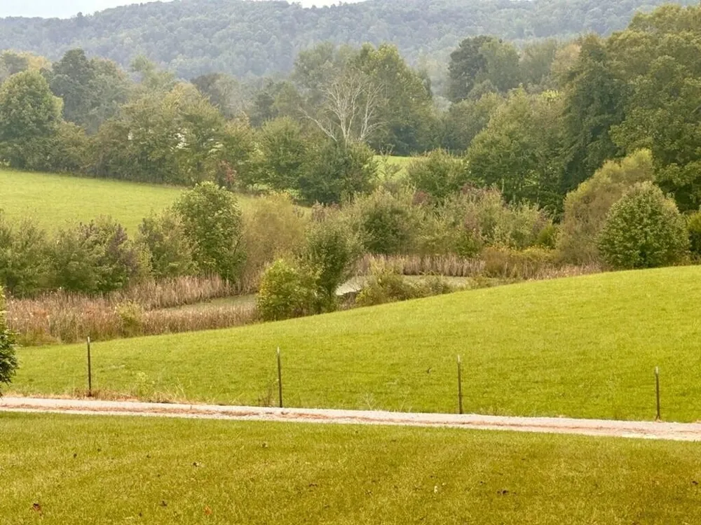 12343 Griffith Road Pikeville, TN 37367