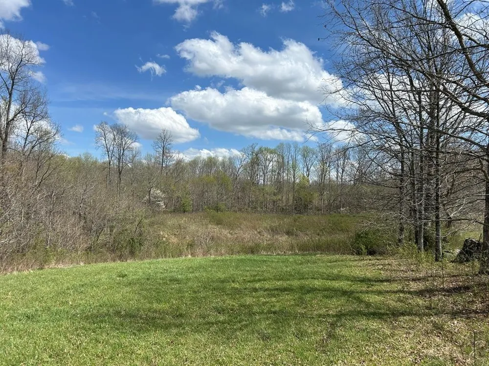 12343 Griffith Road Pikeville, TN 37367