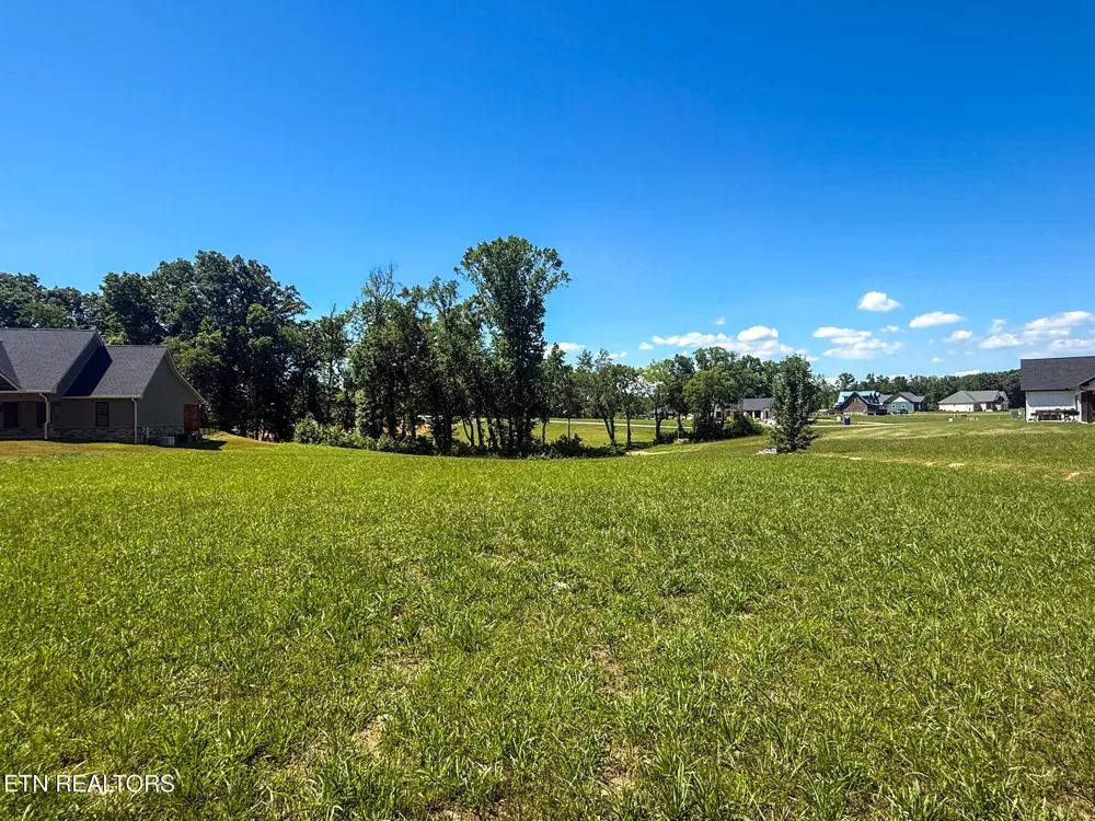 50 Sunset Blvd White Pine, TN 37890