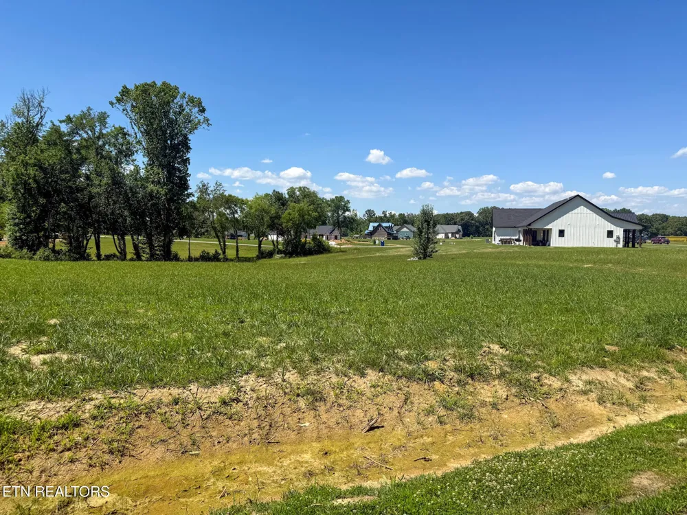 50 Sunset Blvd White Pine, TN 37890