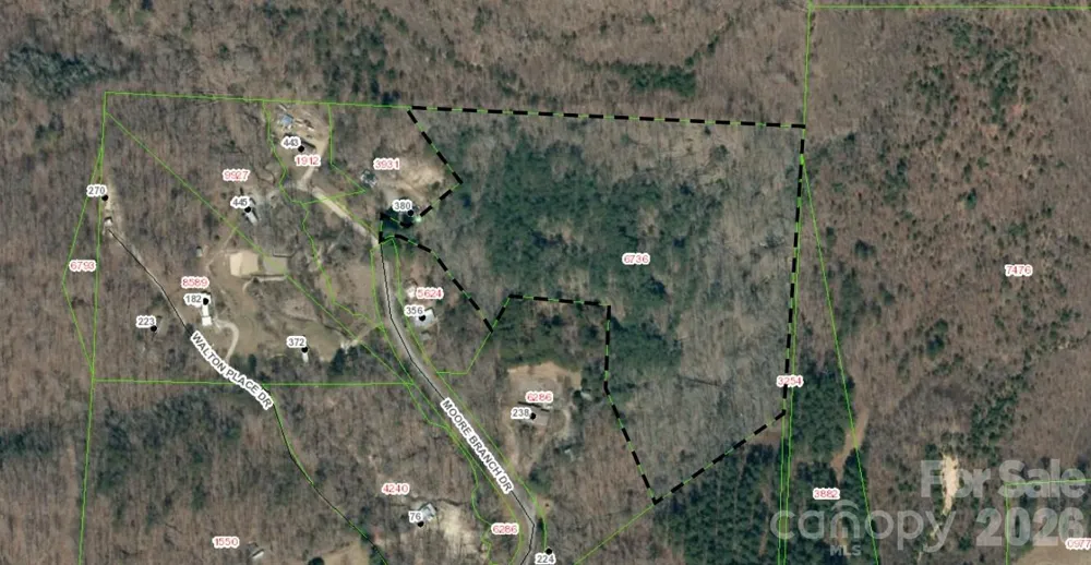 V/L Moore Branch Drive Nebo, NC 28761