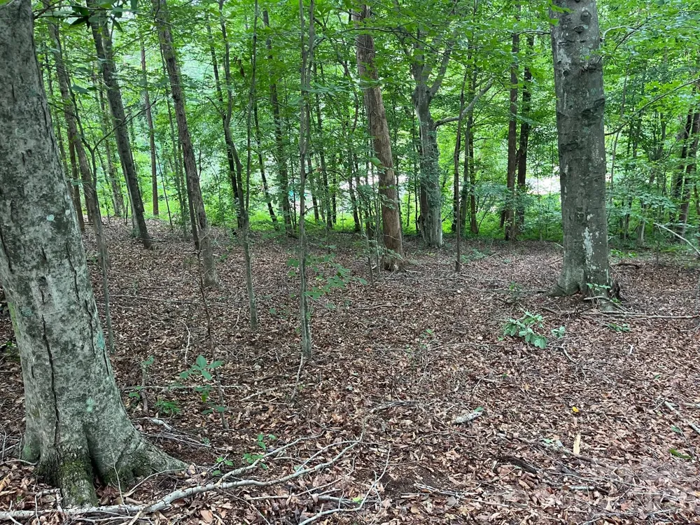 V/L Moore Branch Drive Nebo, NC 28761
