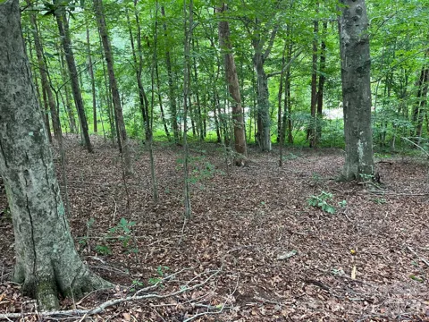 V/L Moore Branch Drive