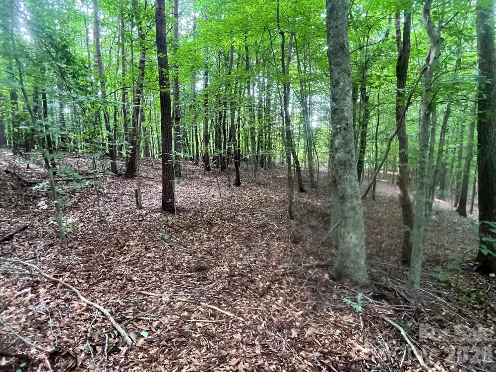 V/L Moore Branch Drive Nebo, NC 28761