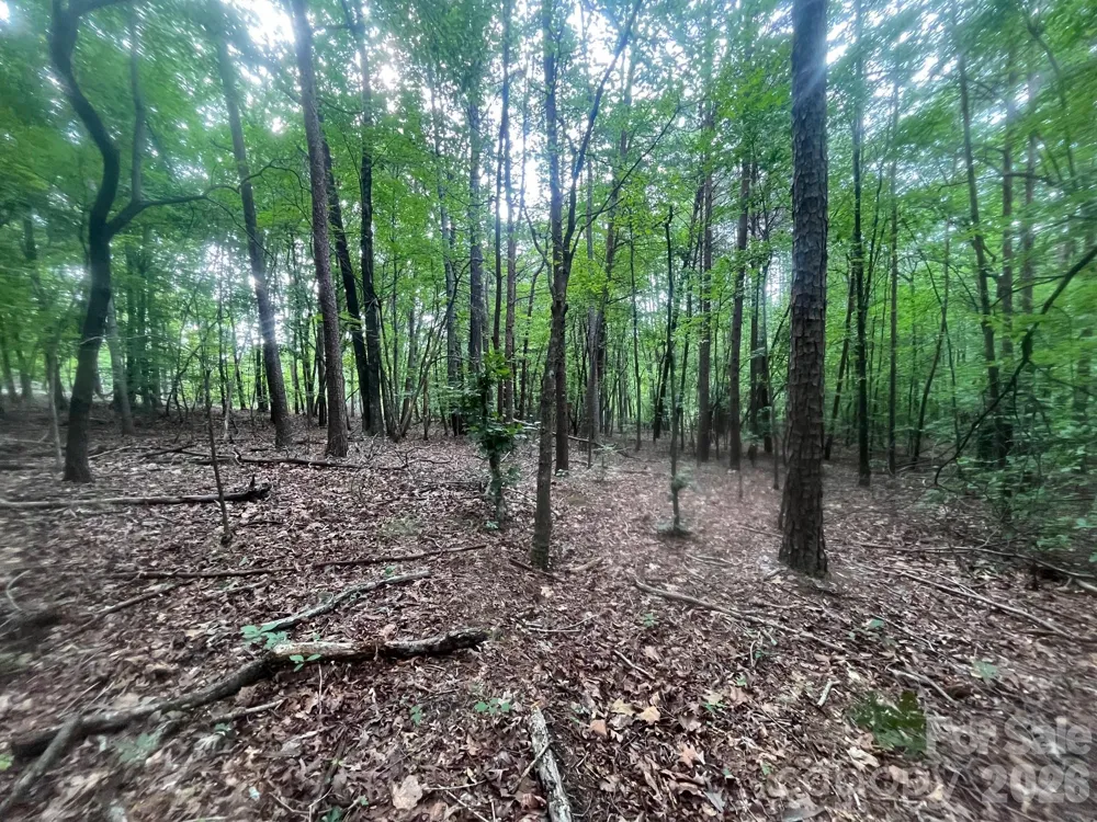 V/L Moore Branch Drive Nebo, NC 28761
