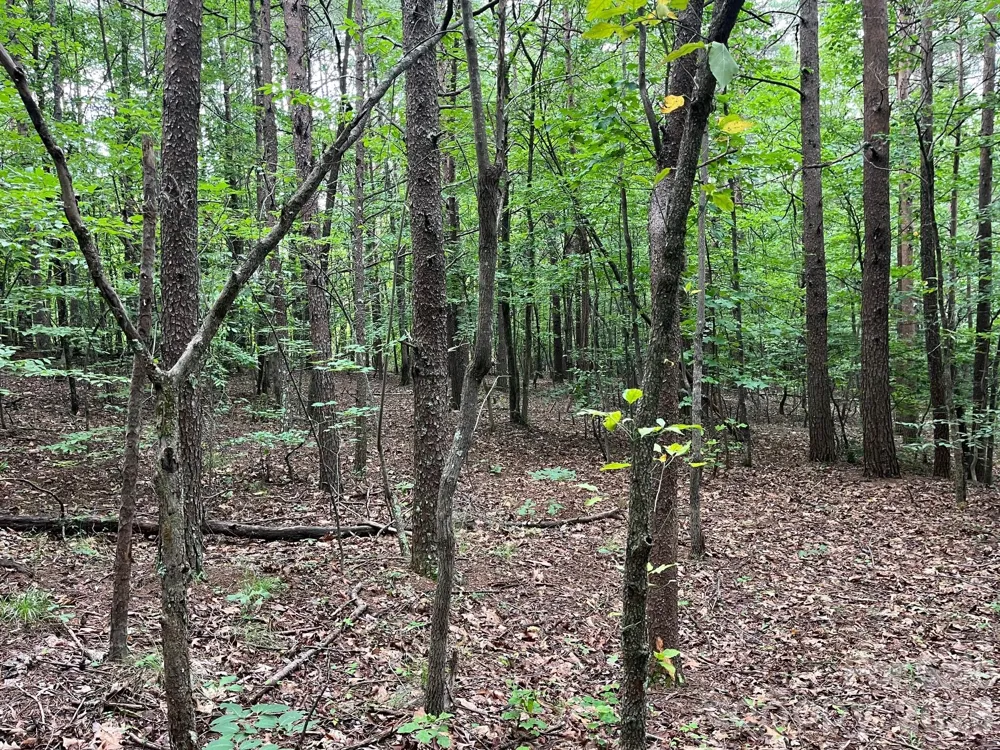 V/L Moore Branch Drive Nebo, NC 28761