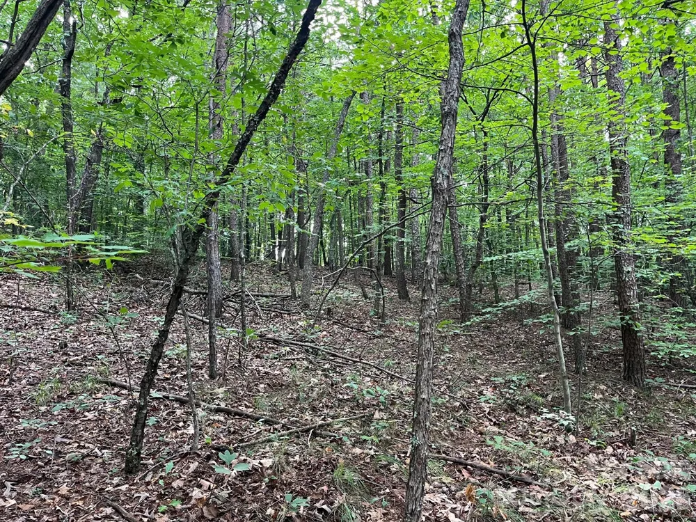 V/L Moore Branch Drive Nebo, NC 28761