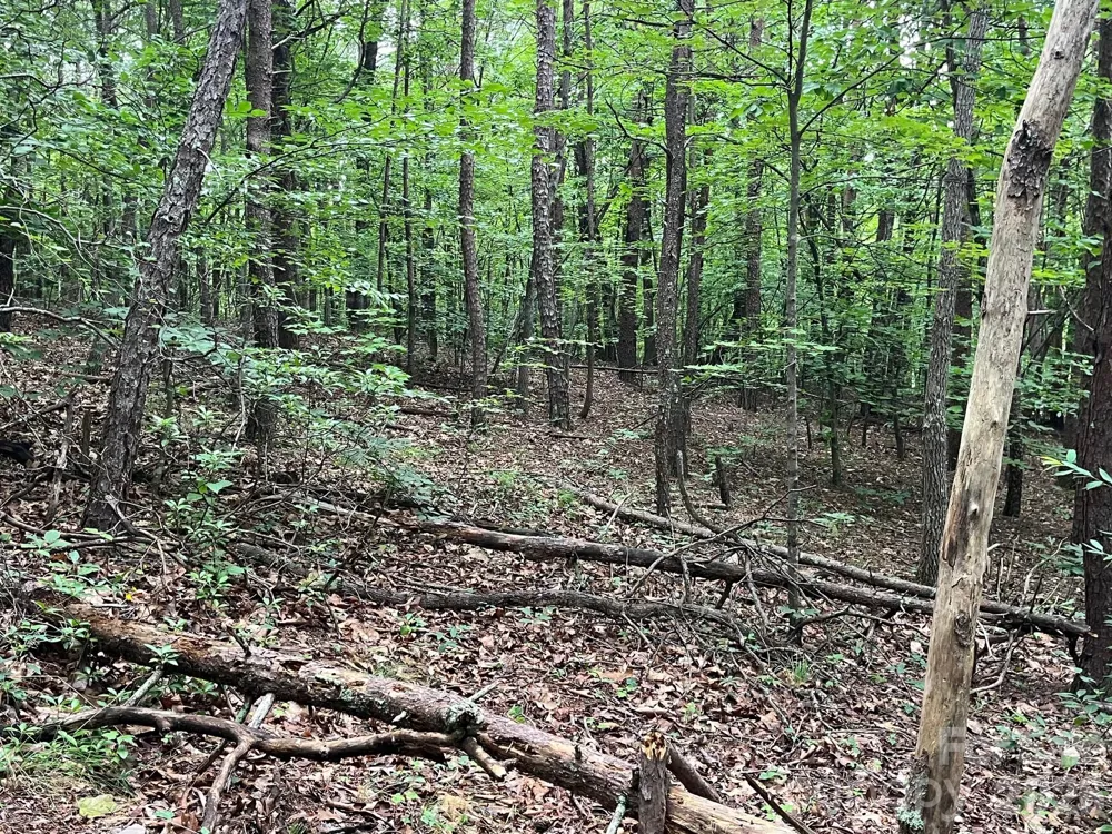 V/L Moore Branch Drive Nebo, NC 28761