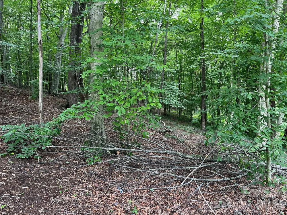 V/L Moore Branch Drive Nebo, NC 28761