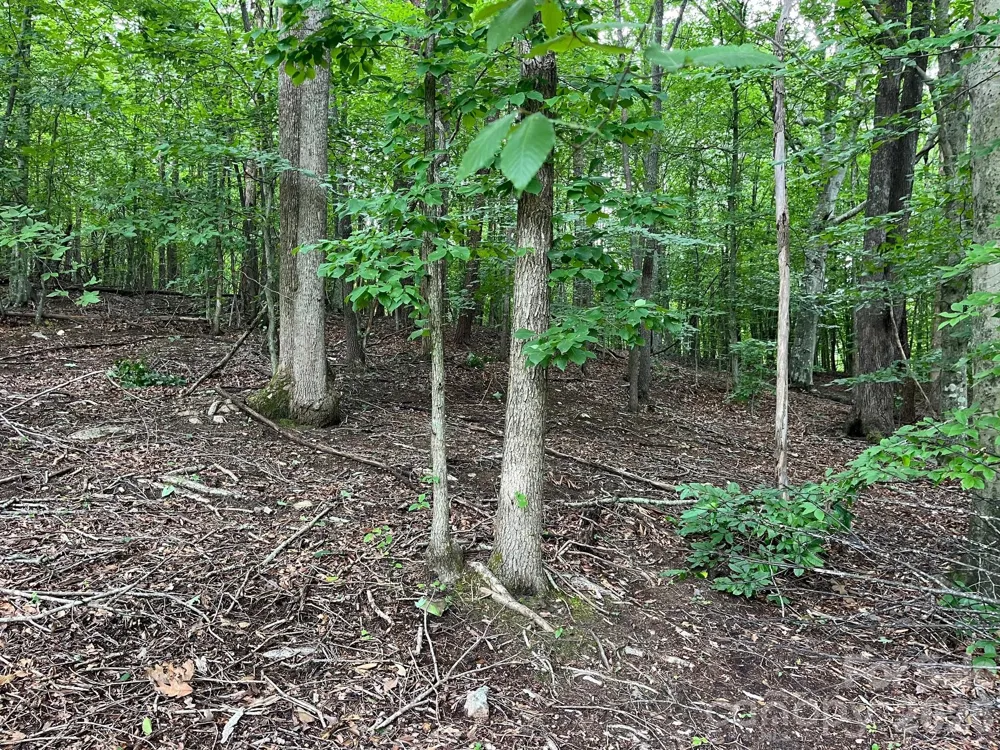 V/L Moore Branch Drive Nebo, NC 28761