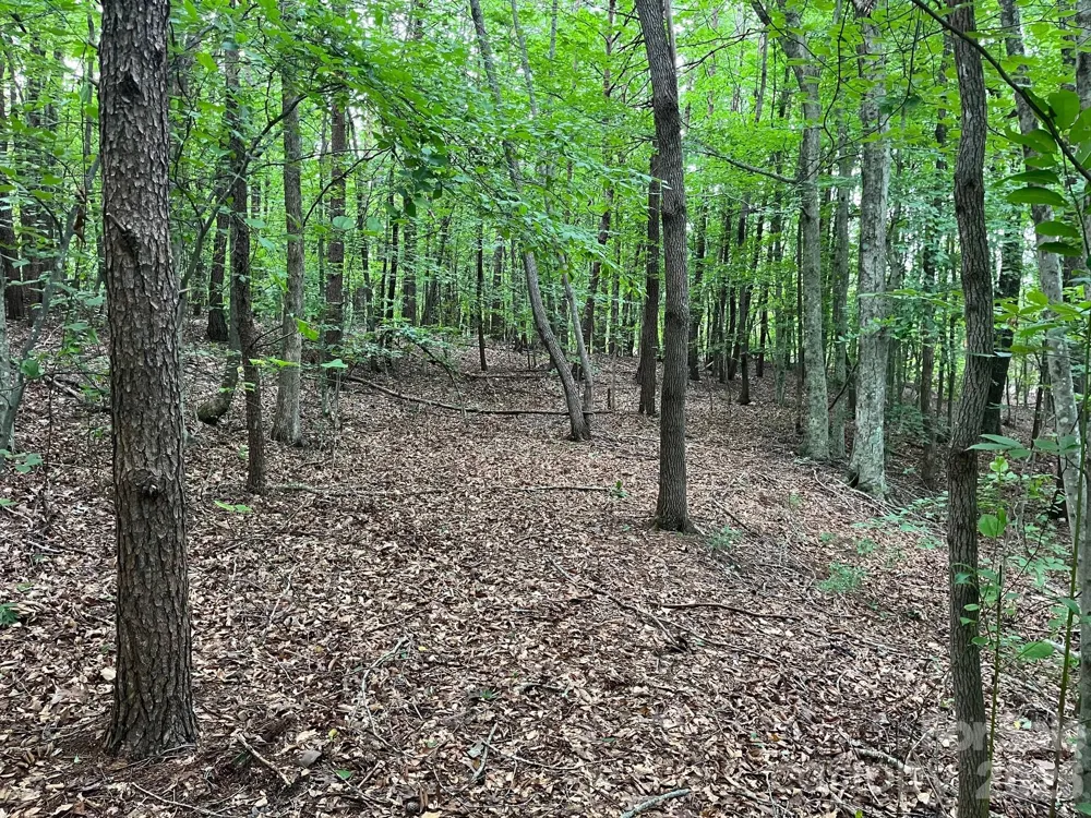 V/L Moore Branch Drive Nebo, NC 28761