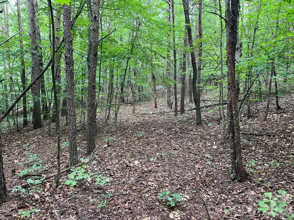 V/L Moore Branch Drive Nebo, NC 28761
