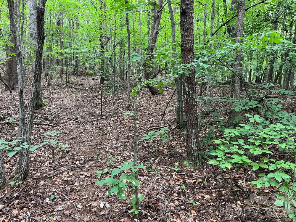 V/L Moore Branch Drive Nebo, NC 28761