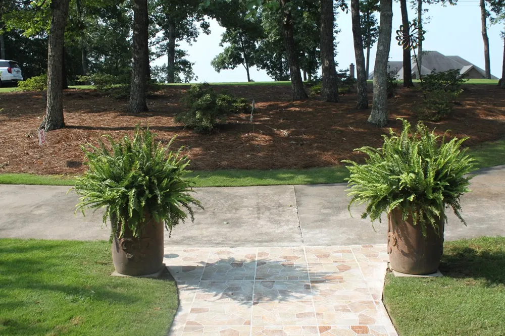 551 Mountain Ridge Drive Manchester, GA 31816