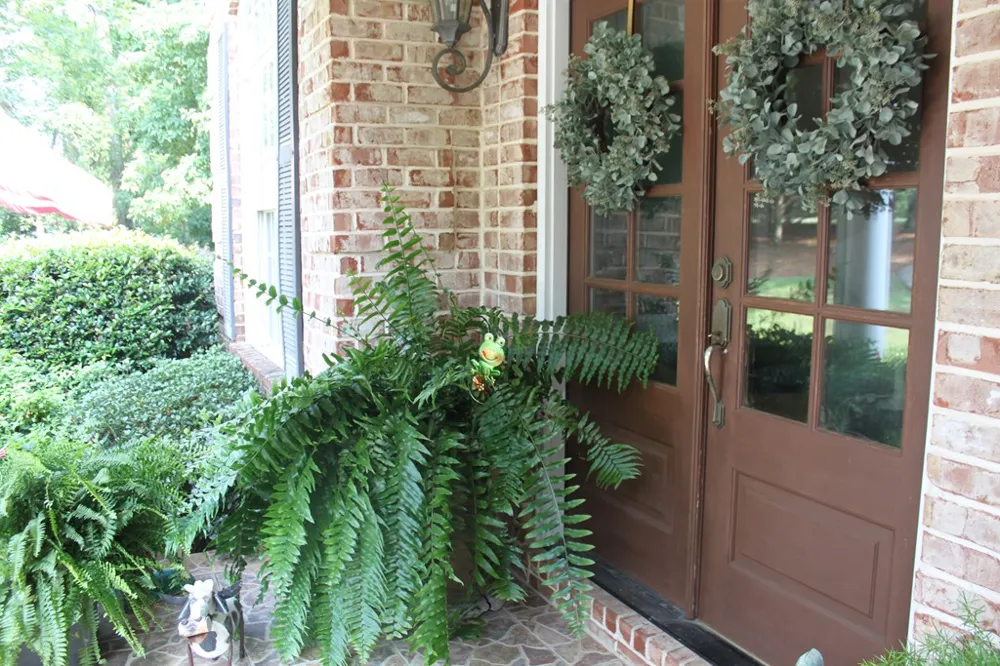 551 Mountain Ridge Drive Manchester, GA 31816