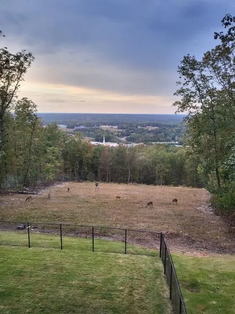 551 Mountain Ridge Drive Manchester, GA 31816