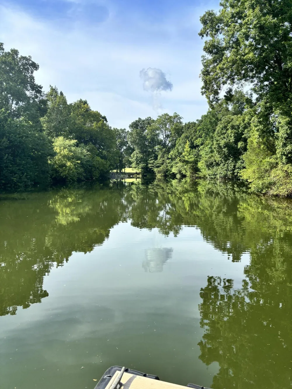 1058 Espalier Drive Decatur, TN 37322