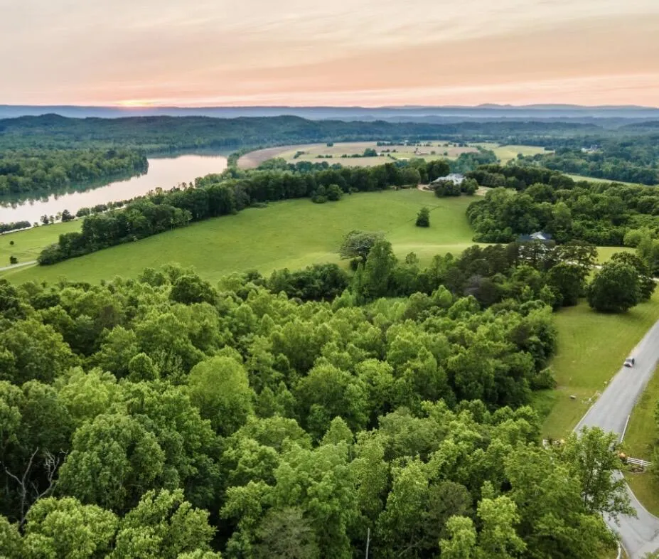 20 Espalier Drive Decatur, TN 37322