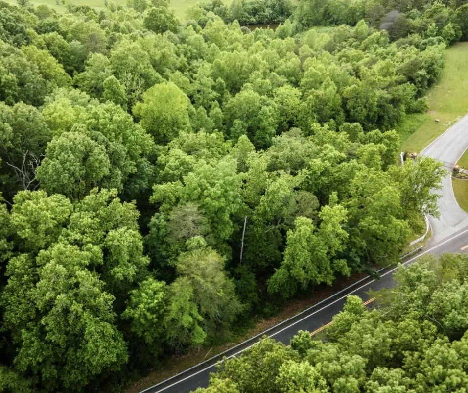 20 Espalier Drive Decatur, TN 37322