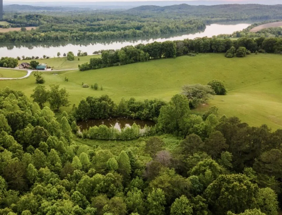 20 Espalier Drive Decatur, TN 37322