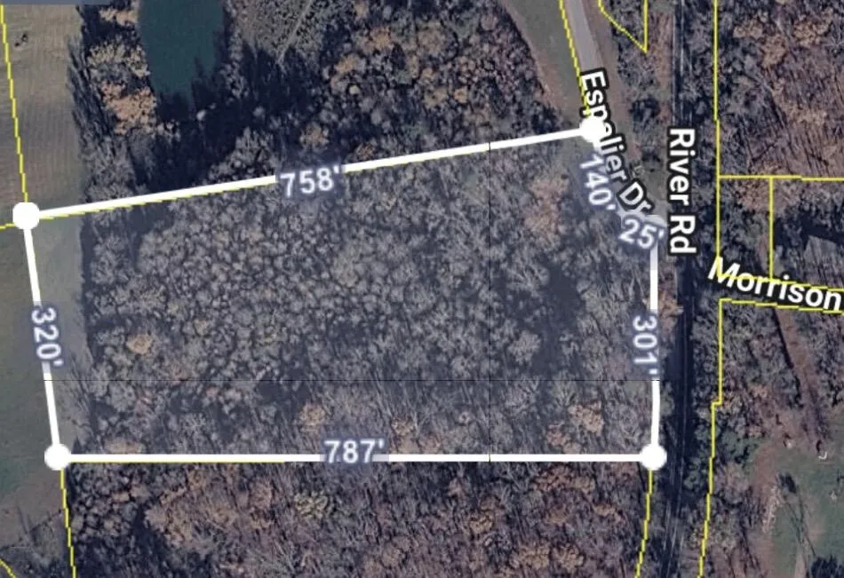 20 Espalier Drive Decatur, TN 37322