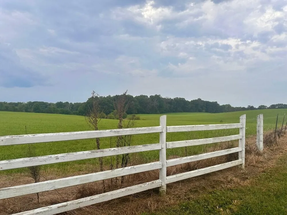 12343 Griffith Road Pikeville, TN 37367