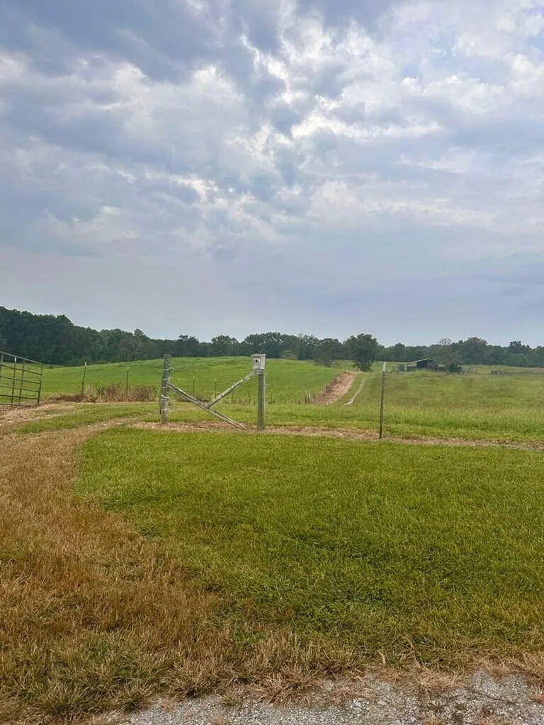 12343 Griffith Road Pikeville, TN 37367