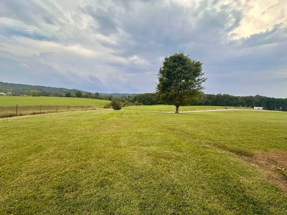 12343 Griffith Road Pikeville, TN 37367