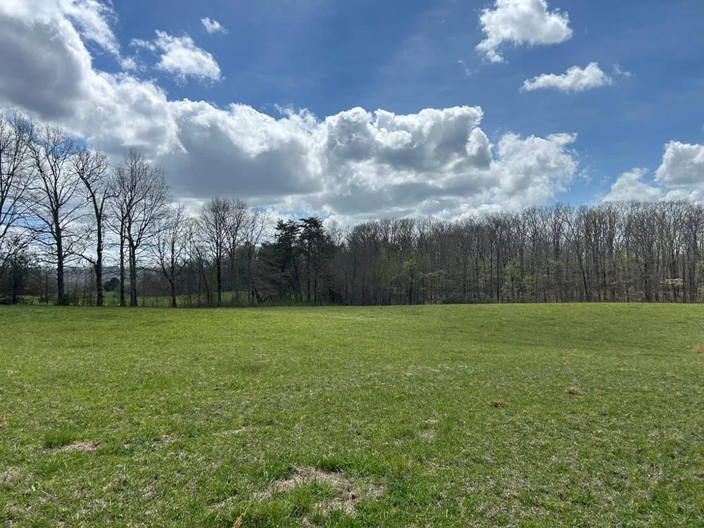 12343 Griffith Road Pikeville, TN 37367