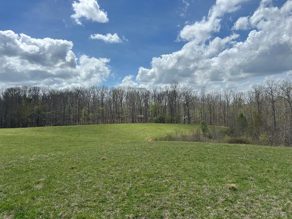 12343 Griffith Road Pikeville, TN 37367