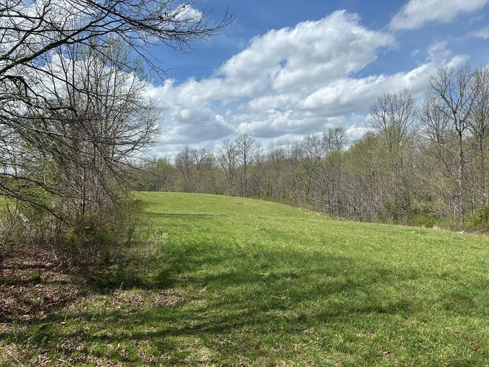12343 Griffith Road Pikeville, TN 37367