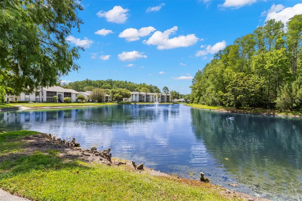 1290 PINE RIDGE CIRCLE E #E1 Tarpon Springs, FL 34688