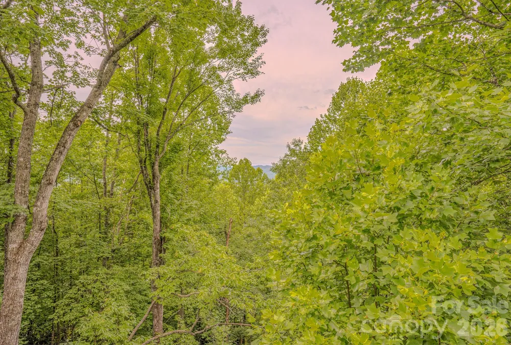 329 Mountain Crest Drive Hendersonville, NC 28739