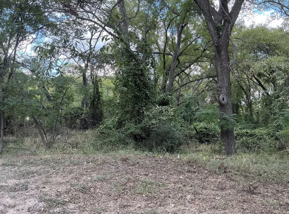 North Street Weatherford, TX 76086