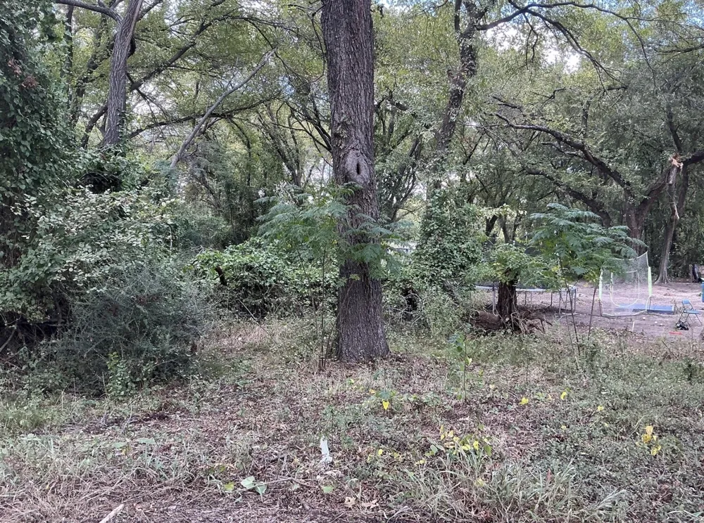 North Street Weatherford, TX 76086