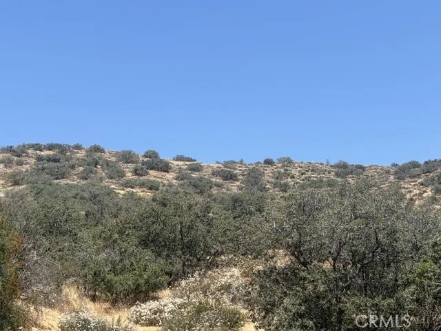 1 Shannon Valley Road Acton, CA 93510