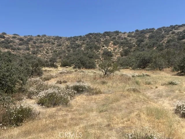 1 Shannon Valley Road Acton, CA 93510