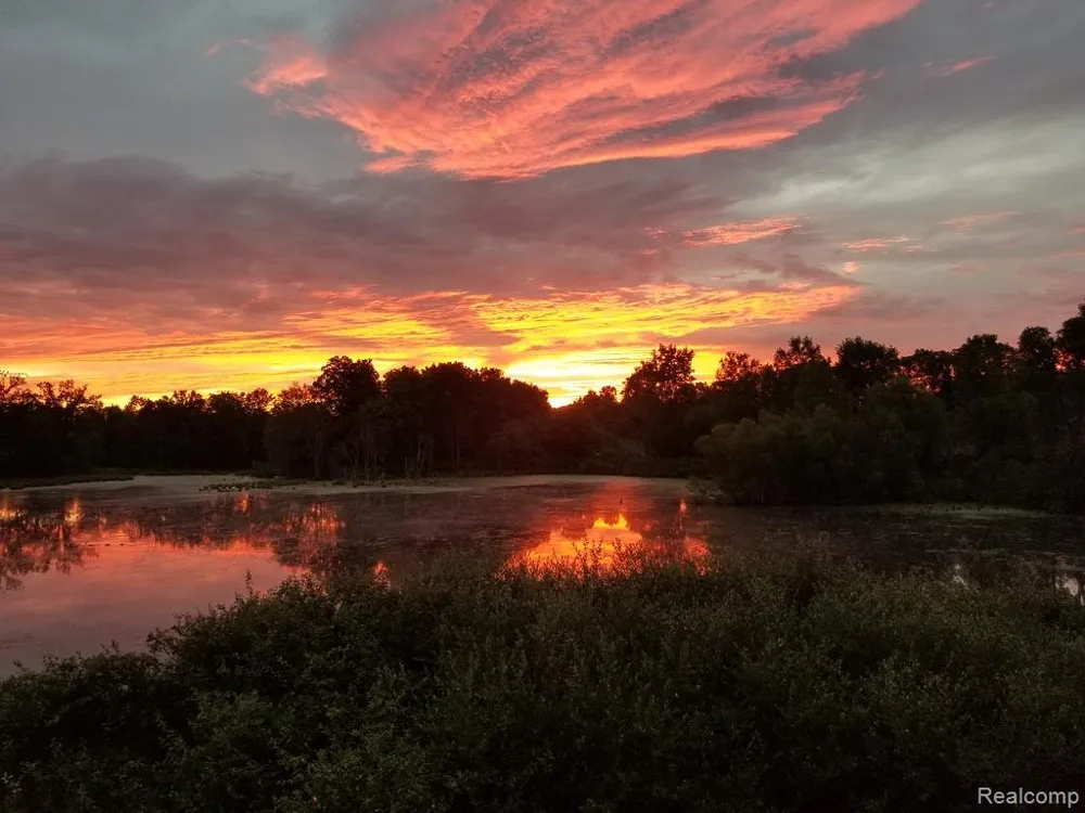 4800 Chestnut Springs Drive Genoa Township, MI 48843