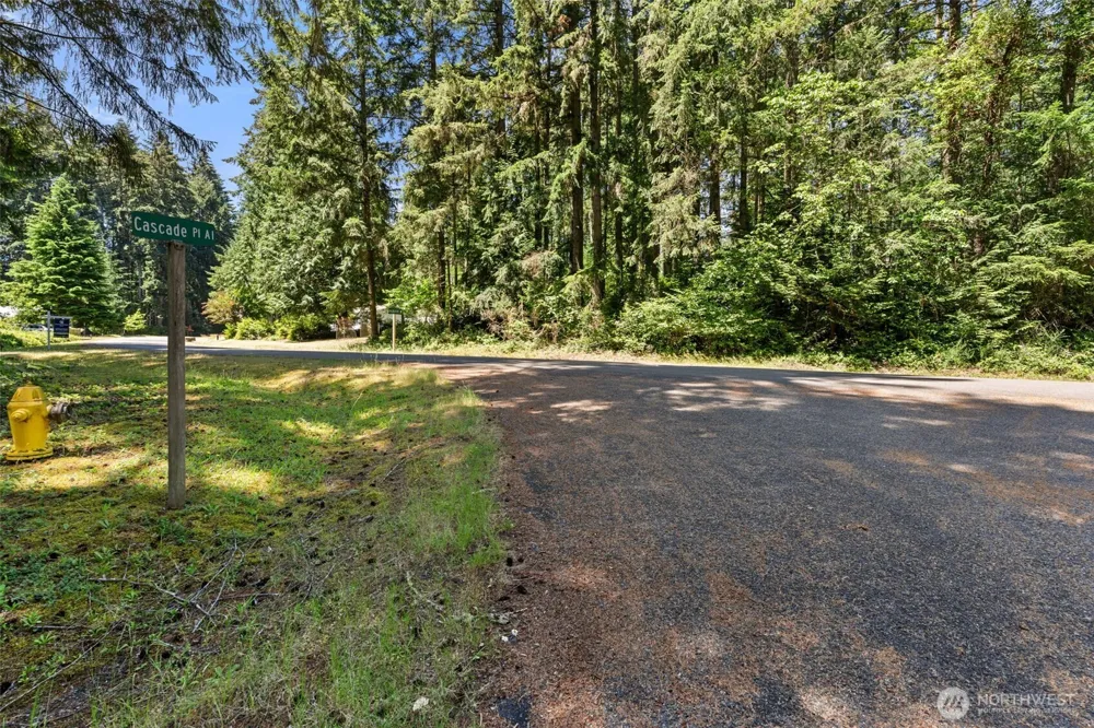 11103 Leschi Circle Anderson Island, WA 98303