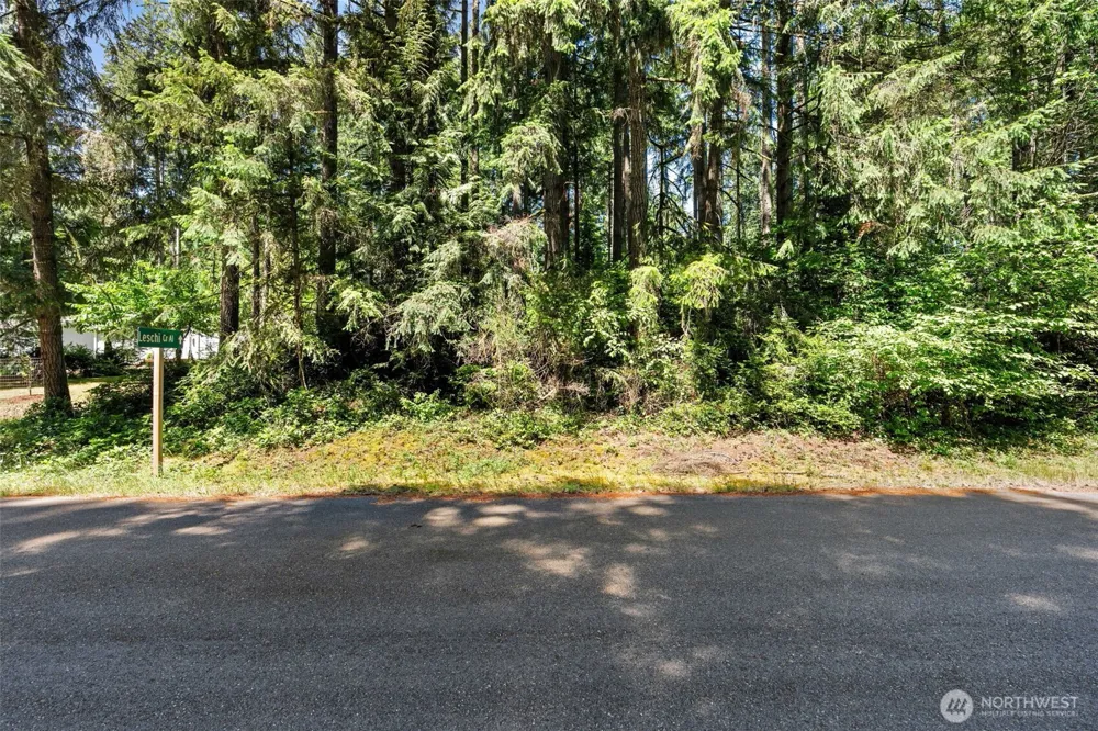 11103 Leschi Circle Anderson Island, WA 98303