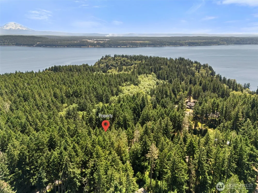 11103 Leschi Circle Anderson Island, WA 98303