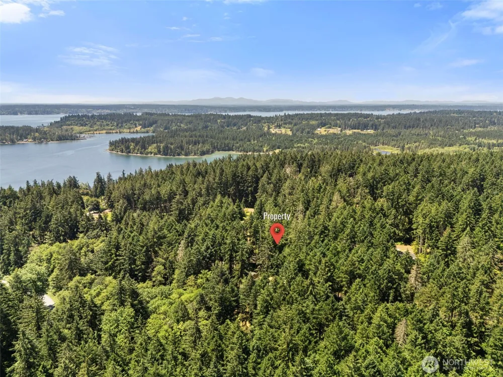 11103 Leschi Circle Anderson Island, WA 98303