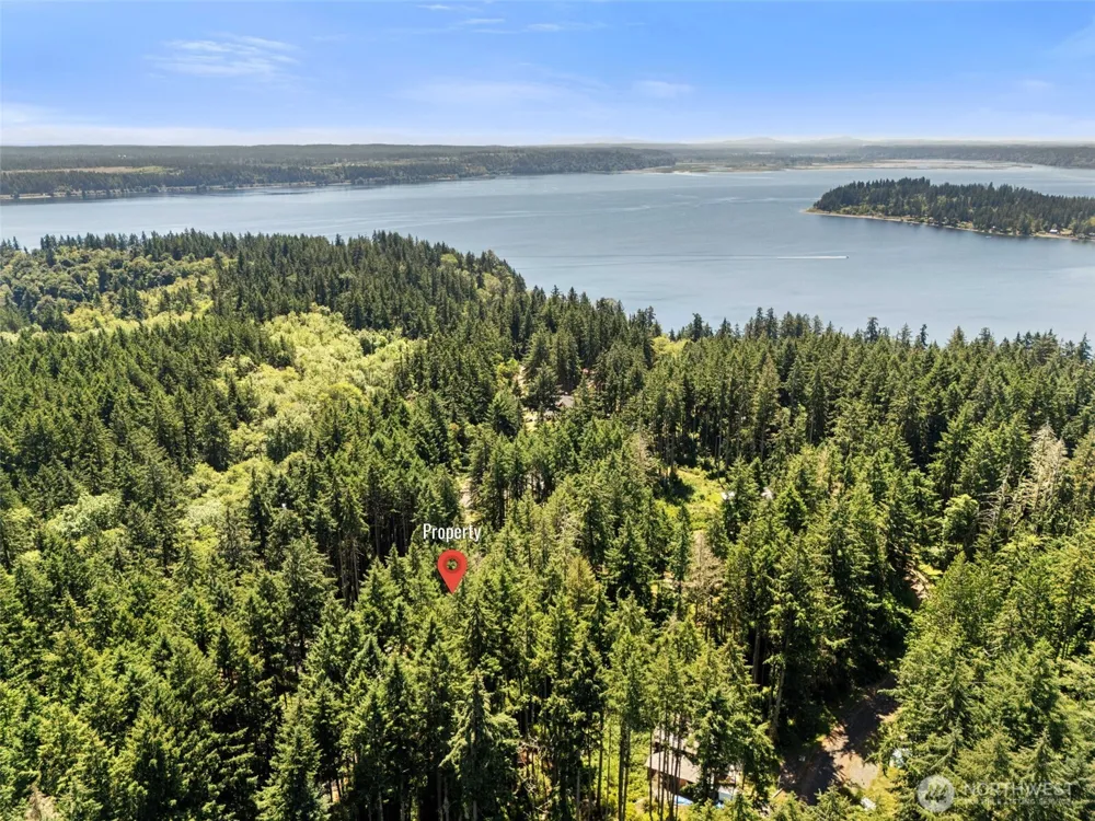 11103 Leschi Circle Anderson Island, WA 98303