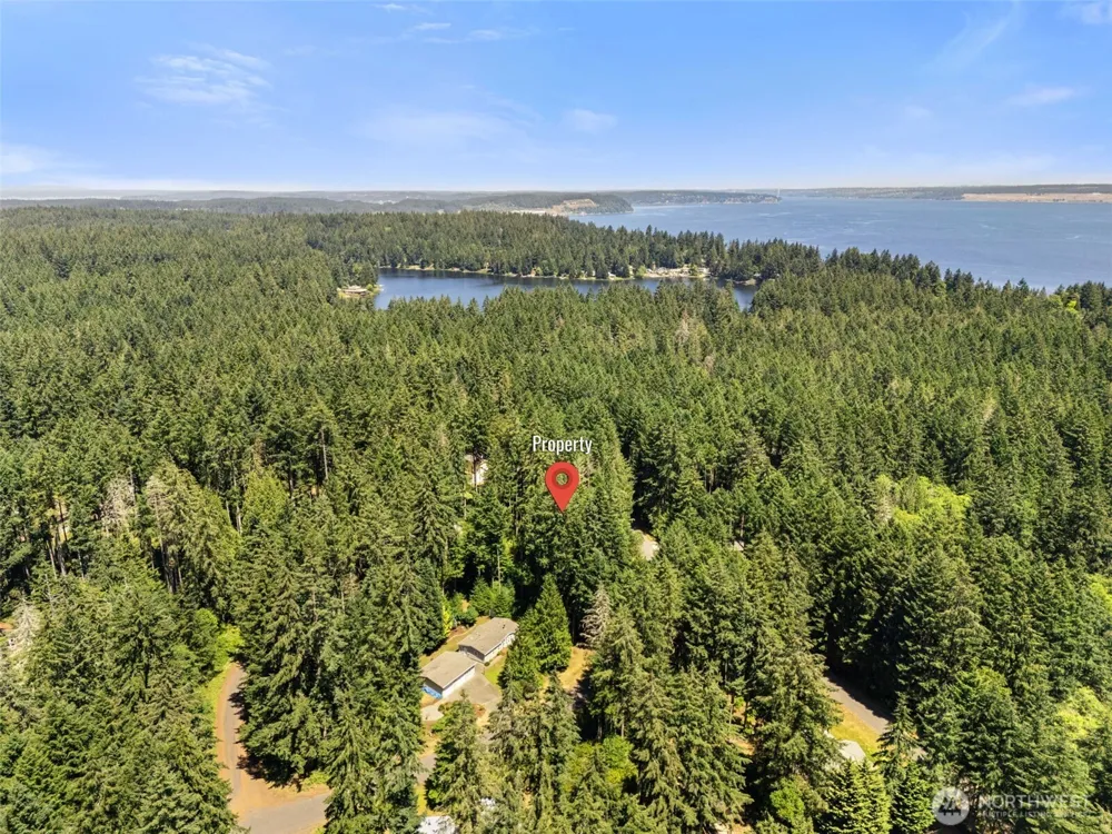 11103 Leschi Circle Anderson Island, WA 98303