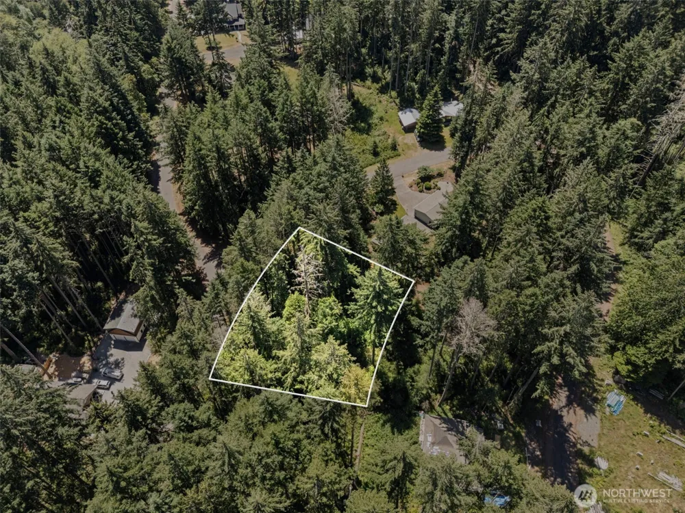 11103 Leschi Circle Anderson Island, WA 98303