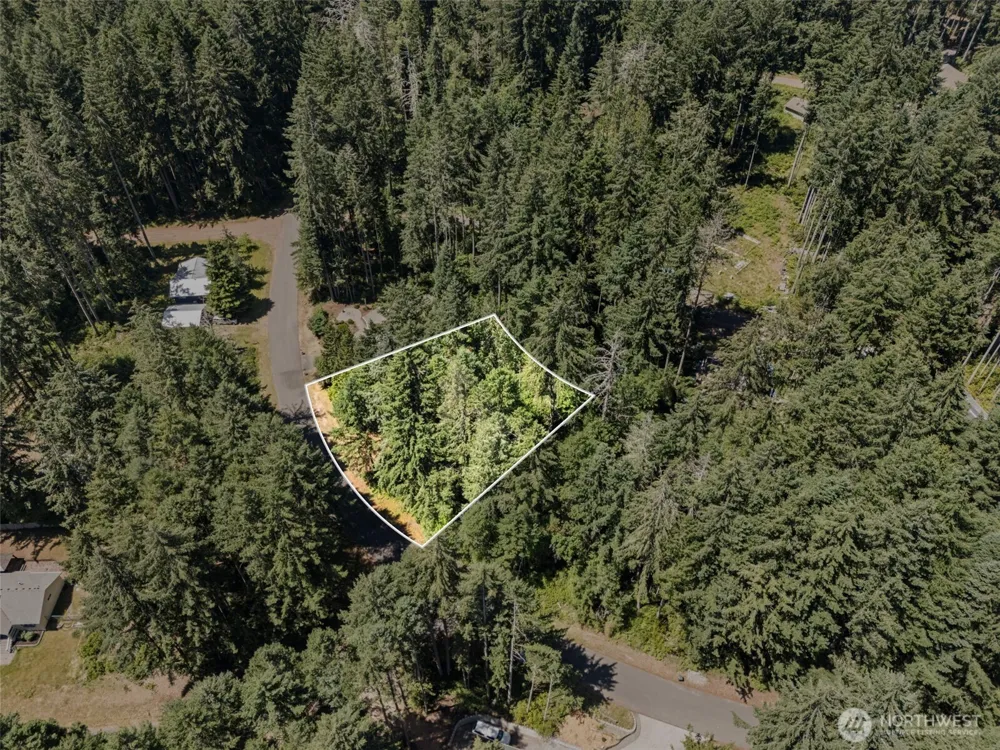 11103 Leschi Circle Anderson Island, WA 98303