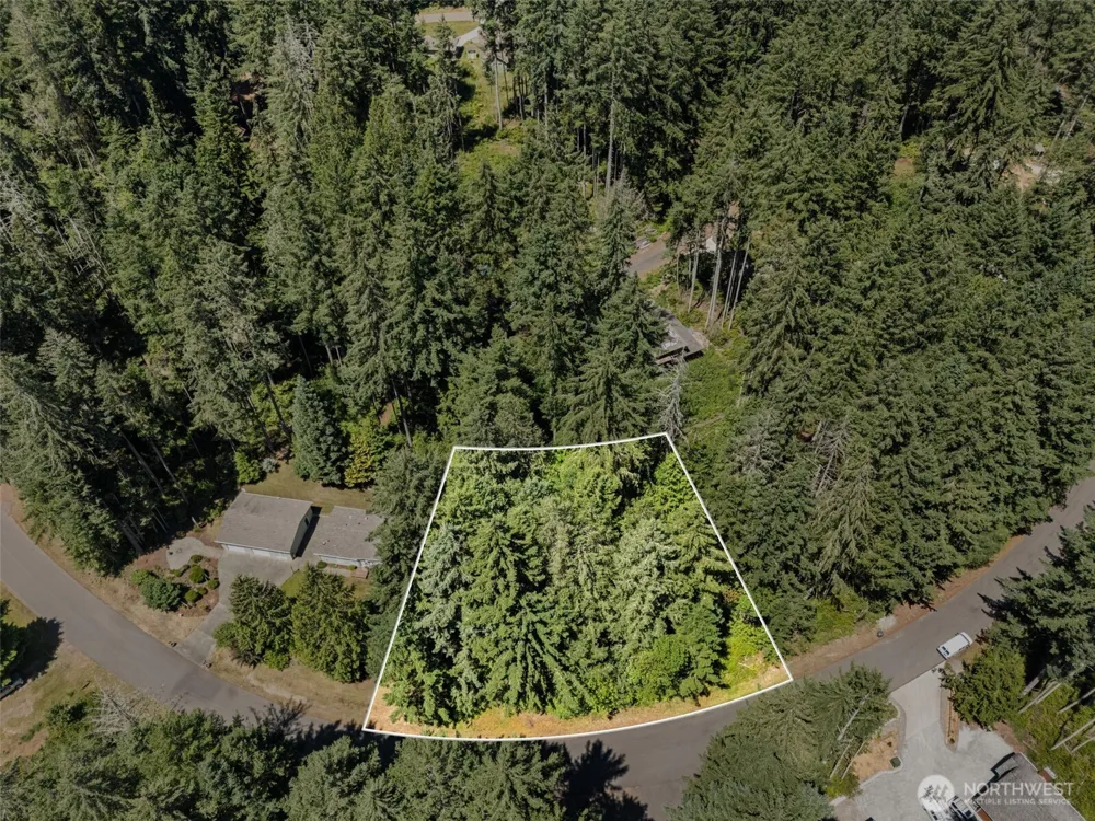 11103 Leschi Circle Anderson Island, WA 98303