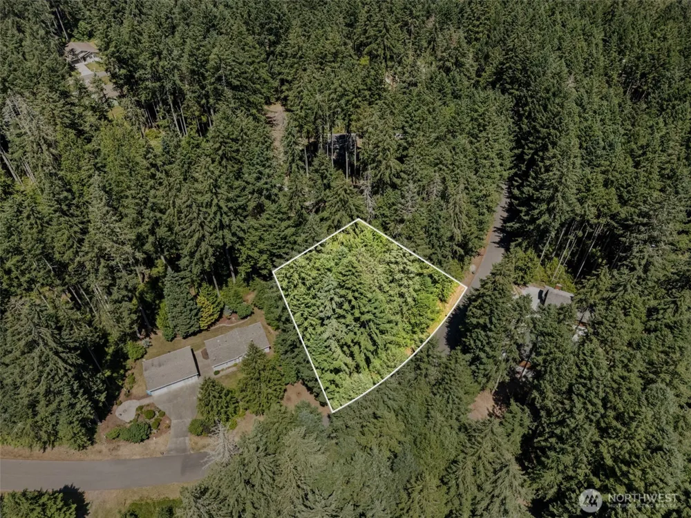 11103 Leschi Circle Anderson Island, WA 98303