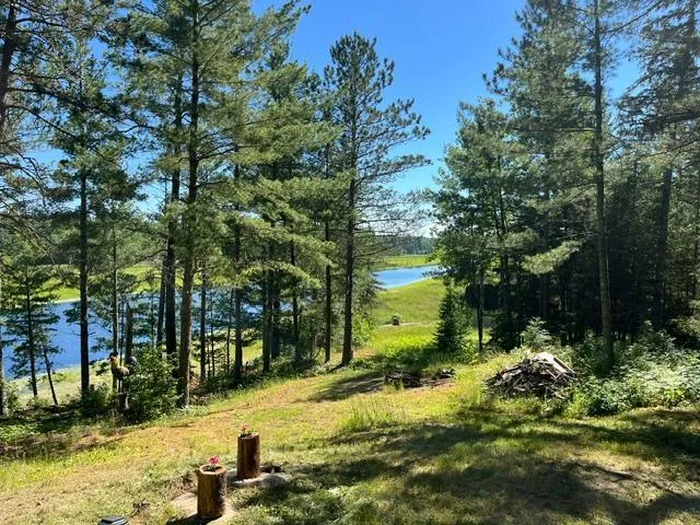 7168 Gold Mine Road Orr, MN 55771
