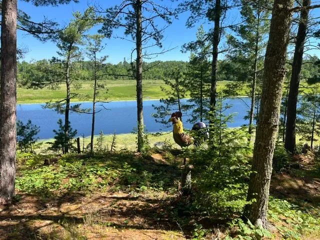 7168 Gold Mine Road Orr, MN 55771